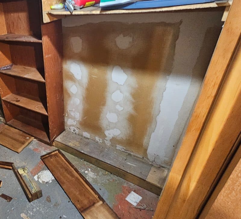 Basement cold room with mold treatment